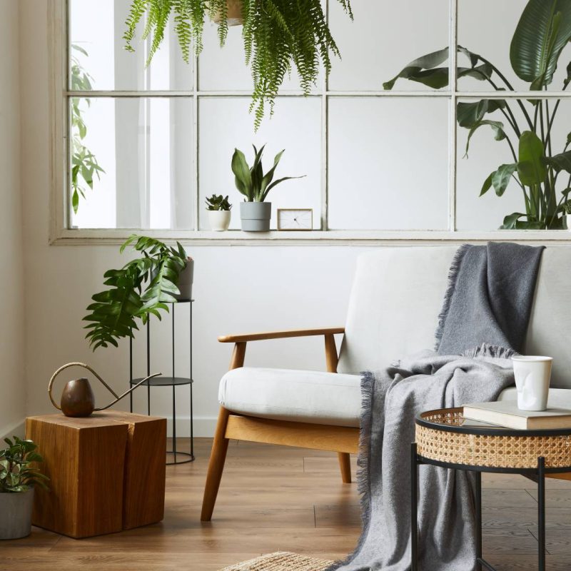 Armchair, side table and plants beside a tall window